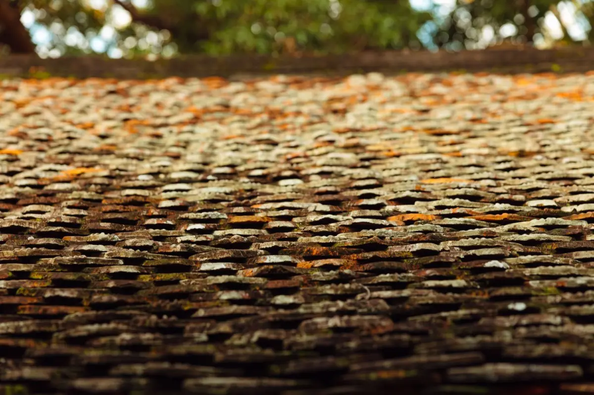 Roof Coatings and Sealing in Valdosta, GA
